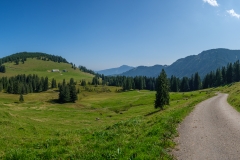 Radtour in Oberstaufen - Schöne Landschaft